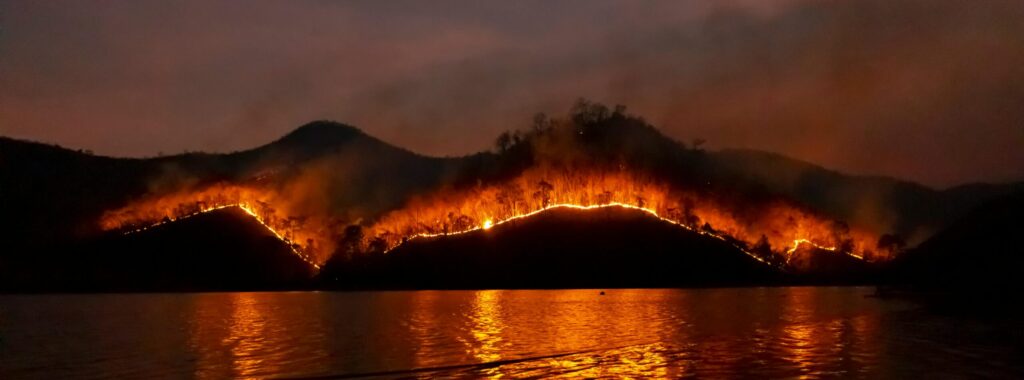 Wildfires by the Water