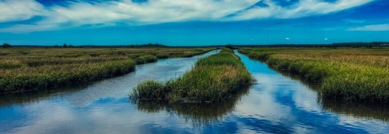 South Carolina South Carolina